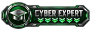 Odznak hodnosti CYBER EXPERT